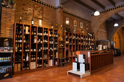 Celler Dalmau - Visual