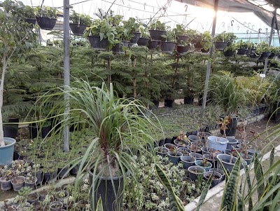 Photos of Fakoori Florist