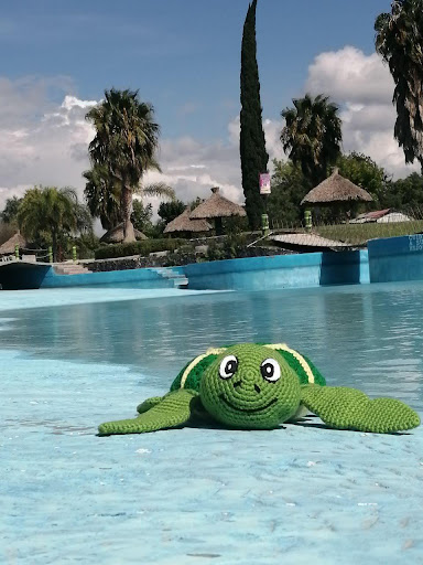 Aquatic Carey Escuela de Natación (clases y talleres de natación) - Thumbnail