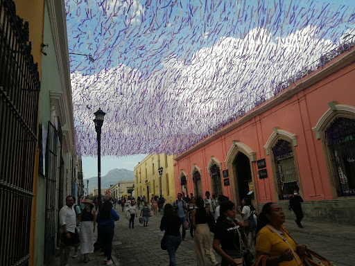 Oaxaca De Juarez Urbano 1 - Thumbnail