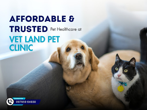 Affordable & Trusted Pet Healthcare at Vet Land Pet Clinic post image