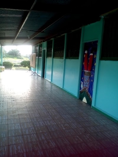 school