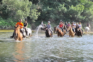 Photo n°22 de Kentucky Ranch à Argelès-sur-Mer (Centre équestre)