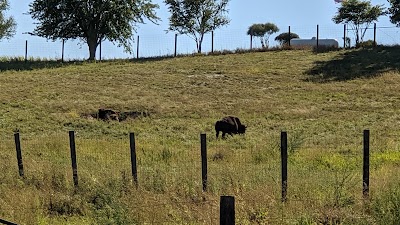 Buffalo Bill Cody Homestead