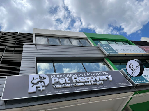 Pet Recovery Veterinary Clinic and Surgery