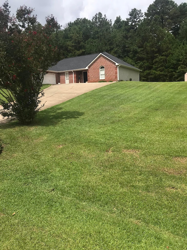 NewGen Lawn Maintenance photo