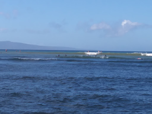 Snorkel Bob's Kihei - Thumbnail