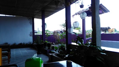 Photos of Alue Naga Jetty