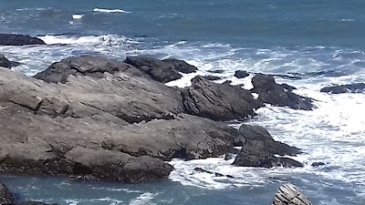 Photos of PUERTO VIEJO