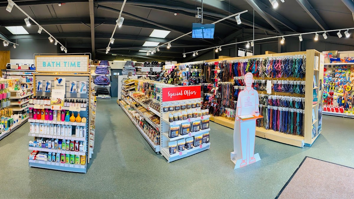 Pets Corner Weymouth, Your Best Reviewed Local Pet Shop