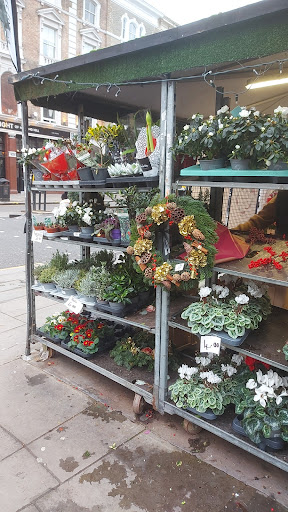 The Flowered Corner - Visual