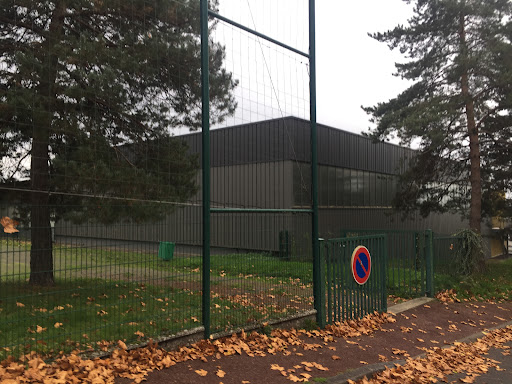 Gymnasium De Landouge - Thumbnail