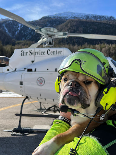 Air Service Center base Cortina - Thumbnail