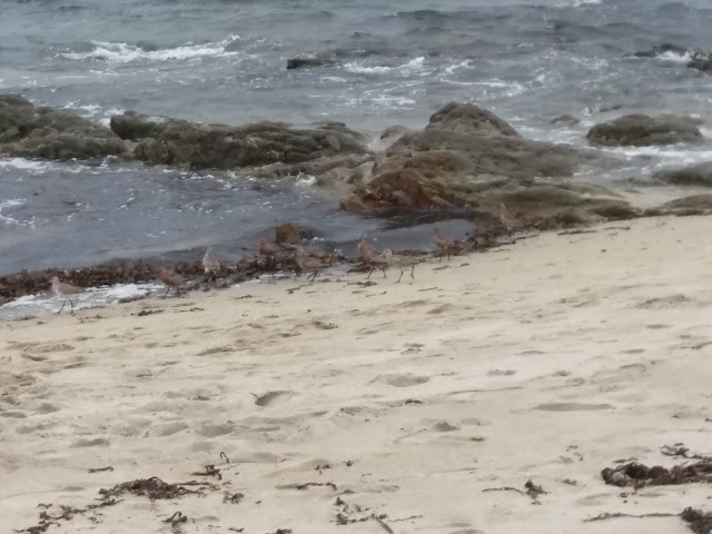 Plage de Raguenes