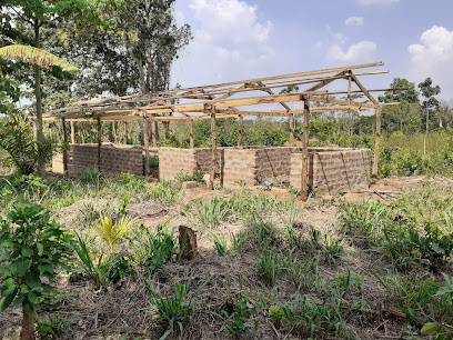 Ferme Aménopé Togo