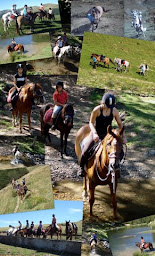 Photo n°9 de Olivier BAUER à Saint-Paul-en-Born (Centre équestre)