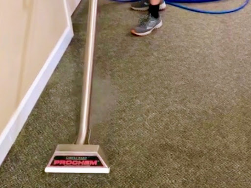 Carpet Mastering - Visual