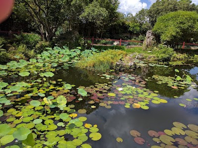 Reflections of China