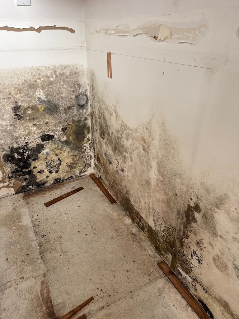 Frontier Restoration LLC photo
