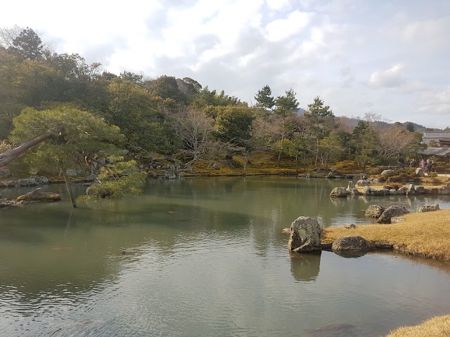 Bamboo grove of Nishigamo