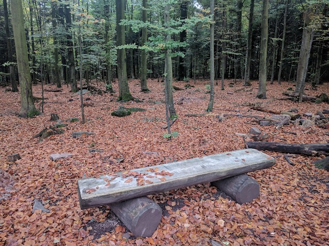 Baumwipfelpfad Schwarzwald