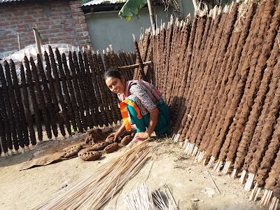 Photos of শাওনের বাগান