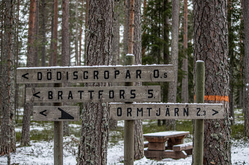 Kotjärnsterrasen - Thumbnail
