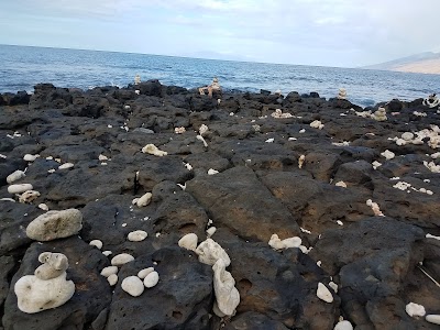 Wailea Beach Path