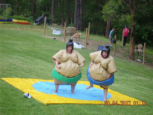 A & A Party Hire Specialists- Jumping Castles Sumo Suits Waterslide Petting Farm - Thumbnail