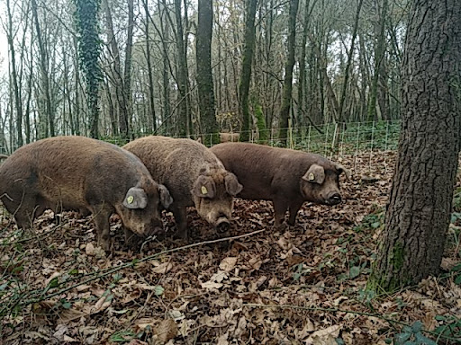 La ferme de Trévero - Thumbnail