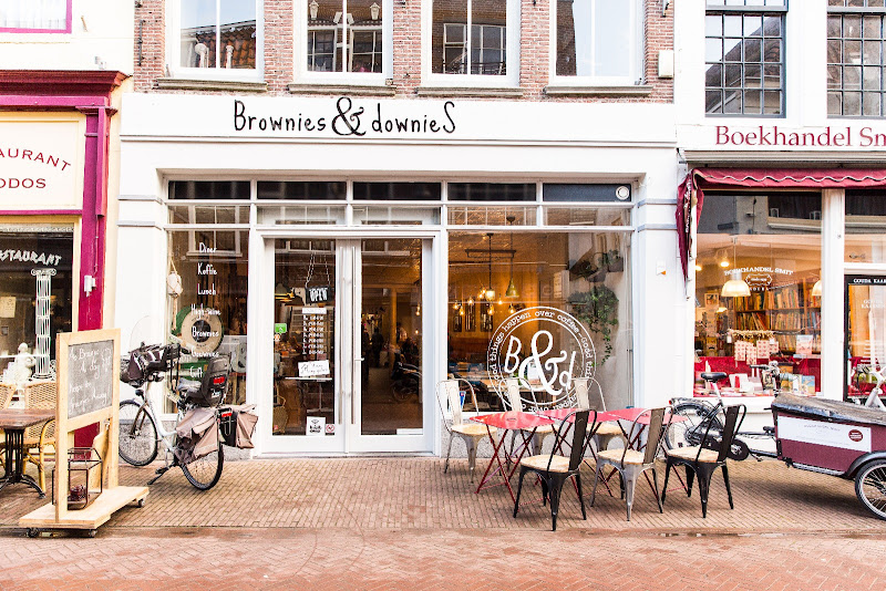 Brownies & downieS — photo