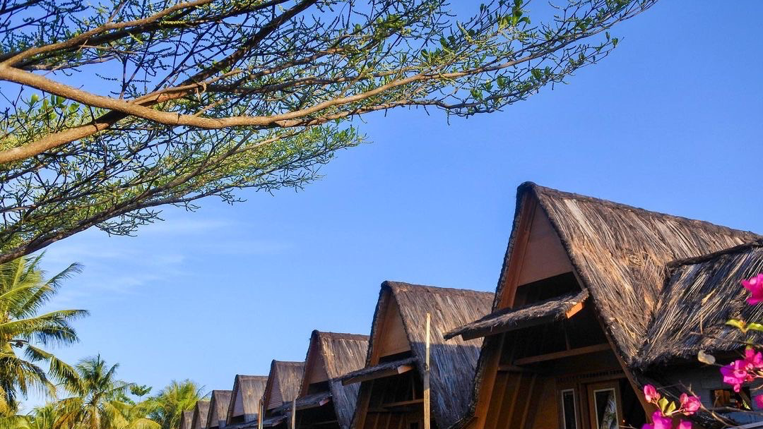 woody villa