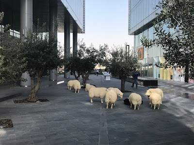 Photos of D3 Parking