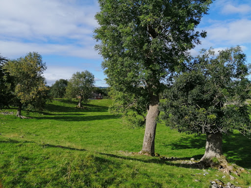 Mayburgh Henge - Thumbnail