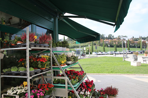 Cesena in Fiore - Visual