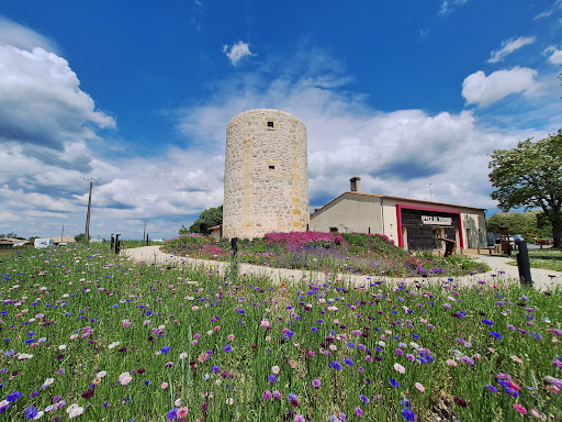 Photo de Office de tourisme de Blaye à Blaye (33390)