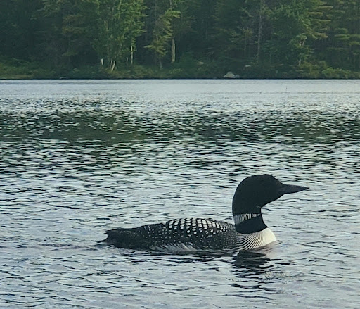 Lowell Lake State Park - Thumbnail