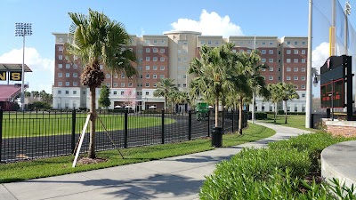 Photos of The University of Tampa