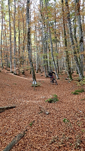 Bike Park de Longchaumois