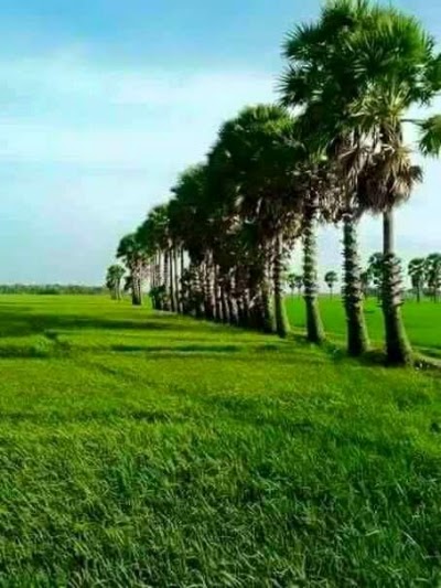 Photos of Shah Amanat Restaurant