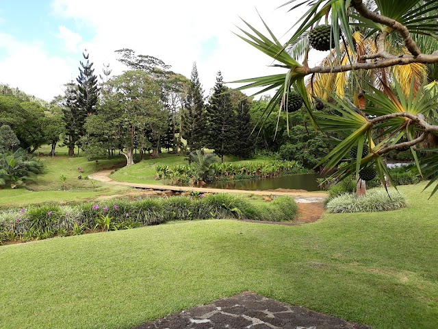 Domaine De L'Etoile