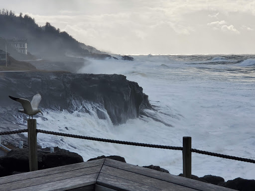 Little Whale Cove Home Owners - Thumbnail