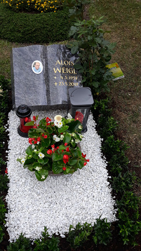 Friedhof Salzburg Taxham - Thumbnail