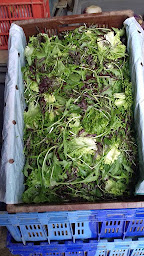 Photo n°11 de AMAP de Bourg-les-Valence - Le Goût Nature à Bourg-lès-Valence (Association bénévole)