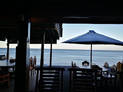 Photos of Paradise Palm Beach Bungalows
