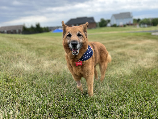 Salt River Veterinary Clinic Gallery - United States