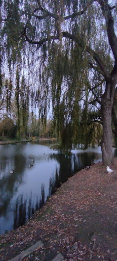 Parc de la Lawe - Thumbnail