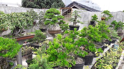 Photos of Yusra Florist