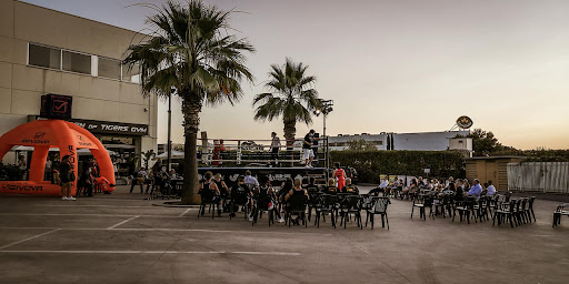 Tigers Gym - Visual