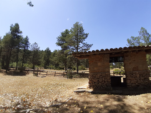 Fuente de la tía Perra